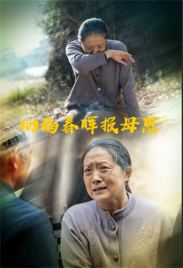 短剧《细雨春晖报母恩》(30集)在线观看下载