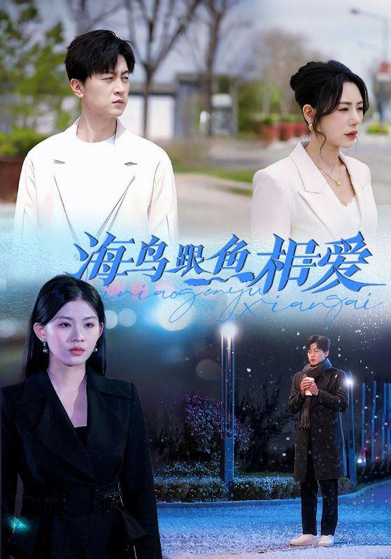 短剧《海鸟跟鱼相爱》(60集)免费在线观看