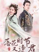 短剧《落花时节又逢君》全集免费在线下载观看